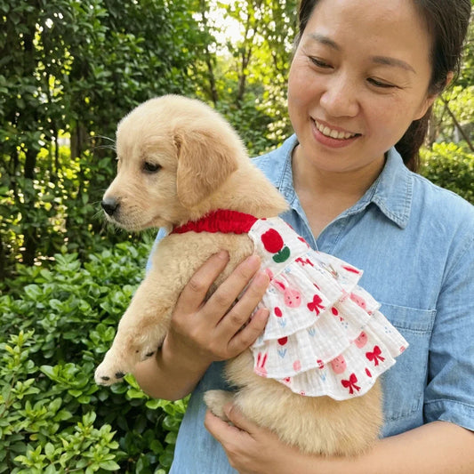 Cotton Dog Cake Skirt Suspender Dress | Sizes XS–4XL Pet Dress Oasis Select