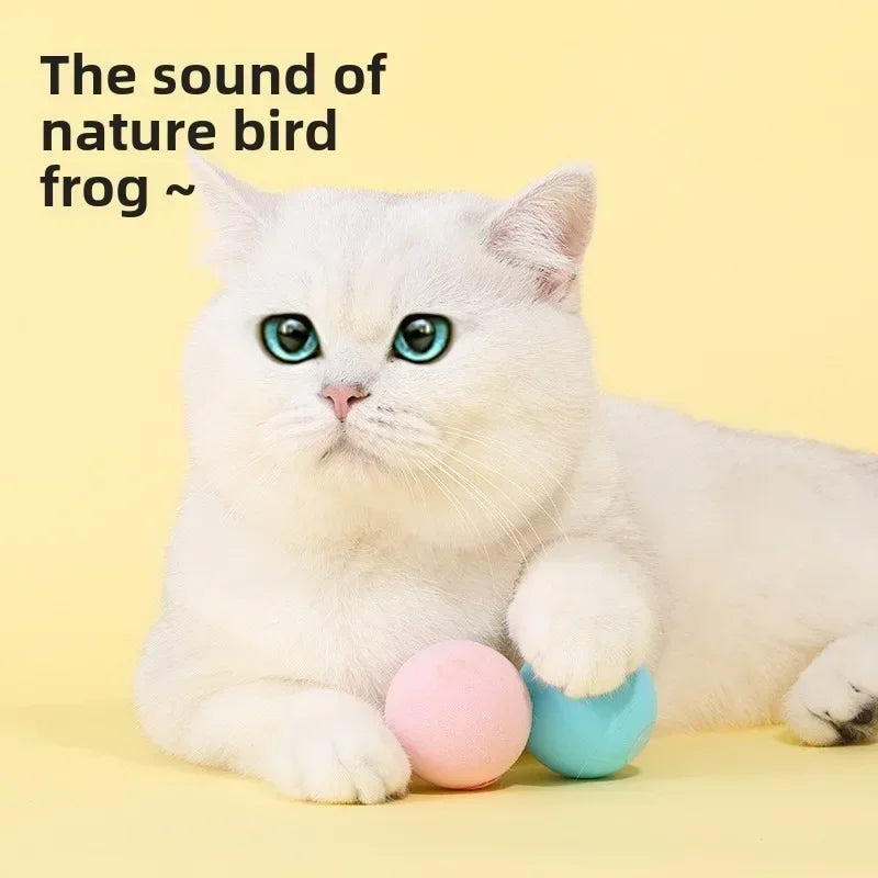 Interactive Electric Cat Toy – Catnip Ball & Squeaky Sound