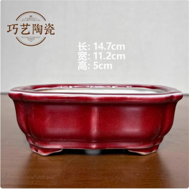 Porcelain Glazed Colorful Bonsai Pot | Ceramic Plant Pot