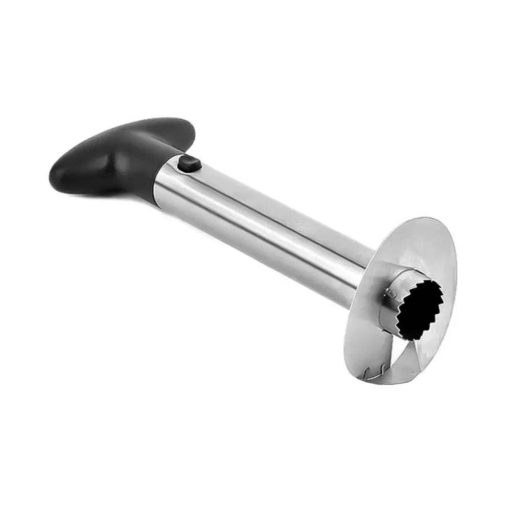 Stainless Steel Pineapple Corer Slicer & Peeler Tool