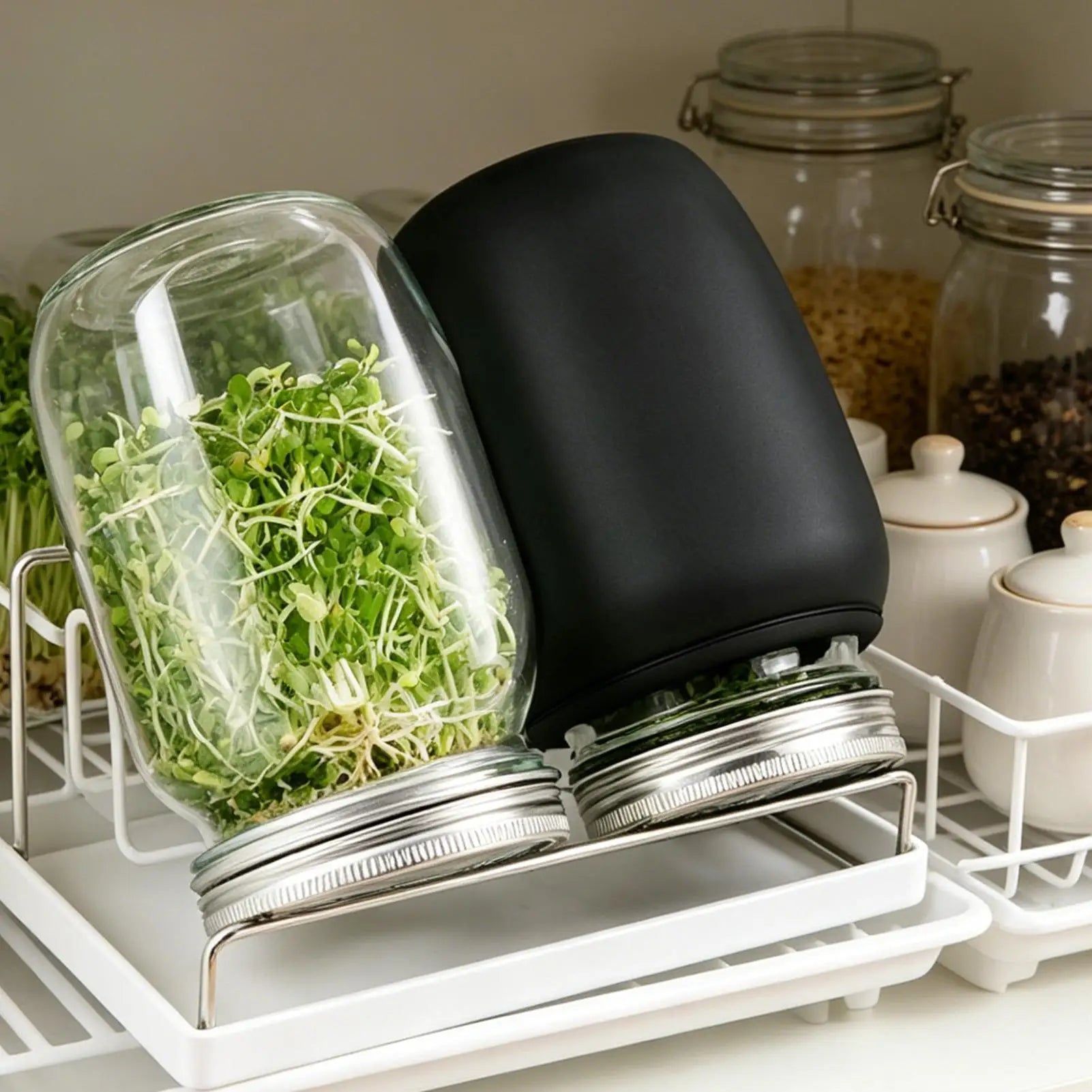 Sprouting Jar Kit Wide Mouth with Blackout Sleeve and Stand Sprouting Jars with Screen Lids for Home Kitchen Living Room Balcony Peaceful Pleasures Health and Wellness China Mainland