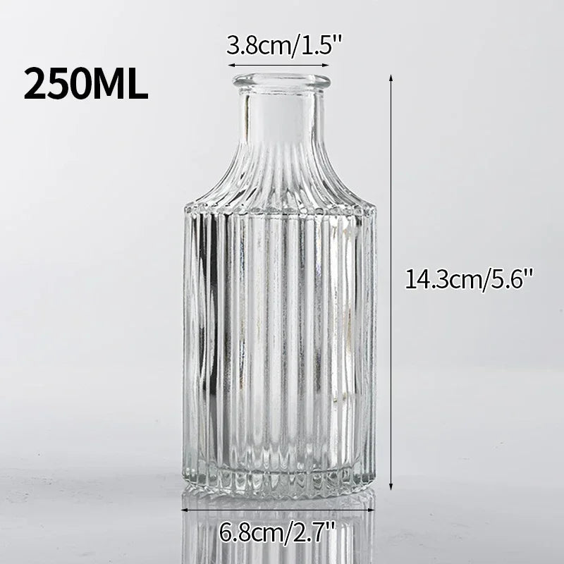 Vintage Transparent Glass Vase | Flower Bottle & Plant Pot