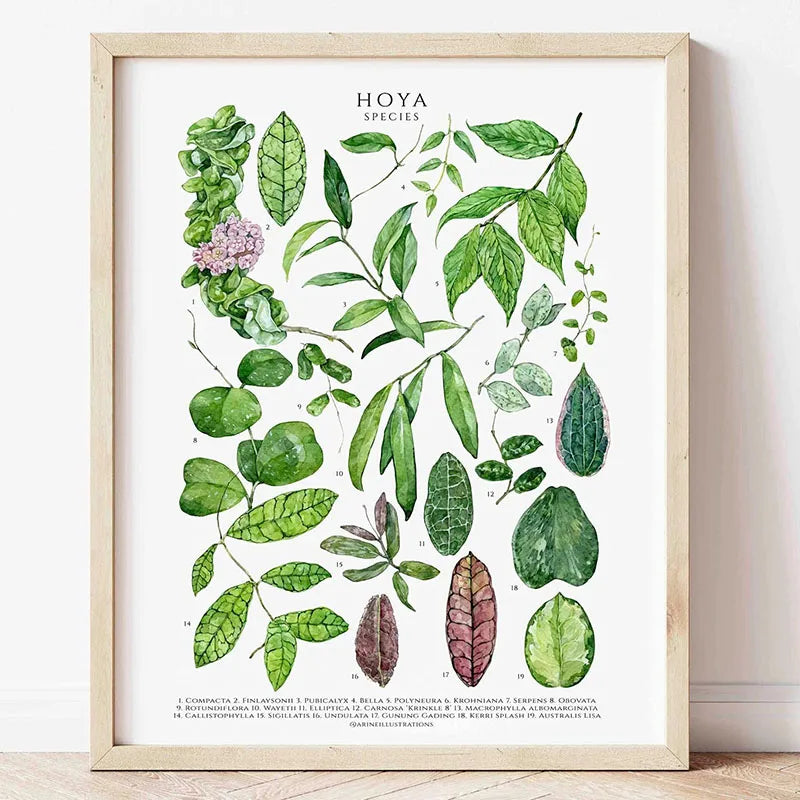 1pc Green Botanical Leaves Interior Art Print Houseplants Nature Indoors Canvas Wall Home Decor Calming Poster Foliage and Plant Peaceful Pleasures Health and Wellness 9 50x70cm Unframed