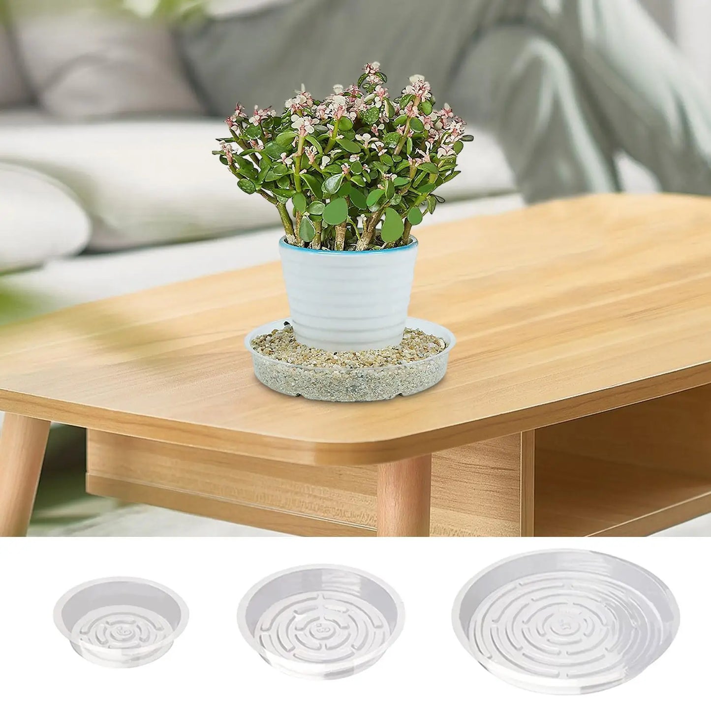 5-Pack Clear Round Plant Saucers | Plastic Pot Trays 6" 8" 10"