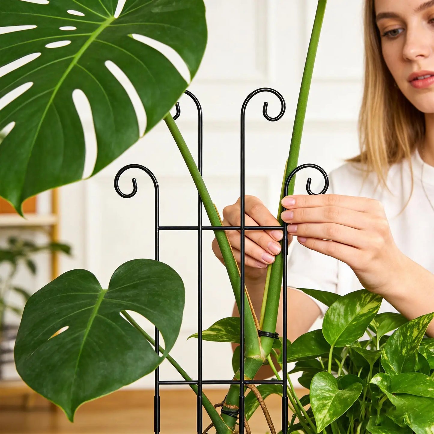 Indoor Plant Trellis Metal Vertical Growth Trellis For Plants Outdoor Vine Stakes For Monstera Tomato Flowers Ivy Pots Garden Peaceful Pleasures Health and Wellness