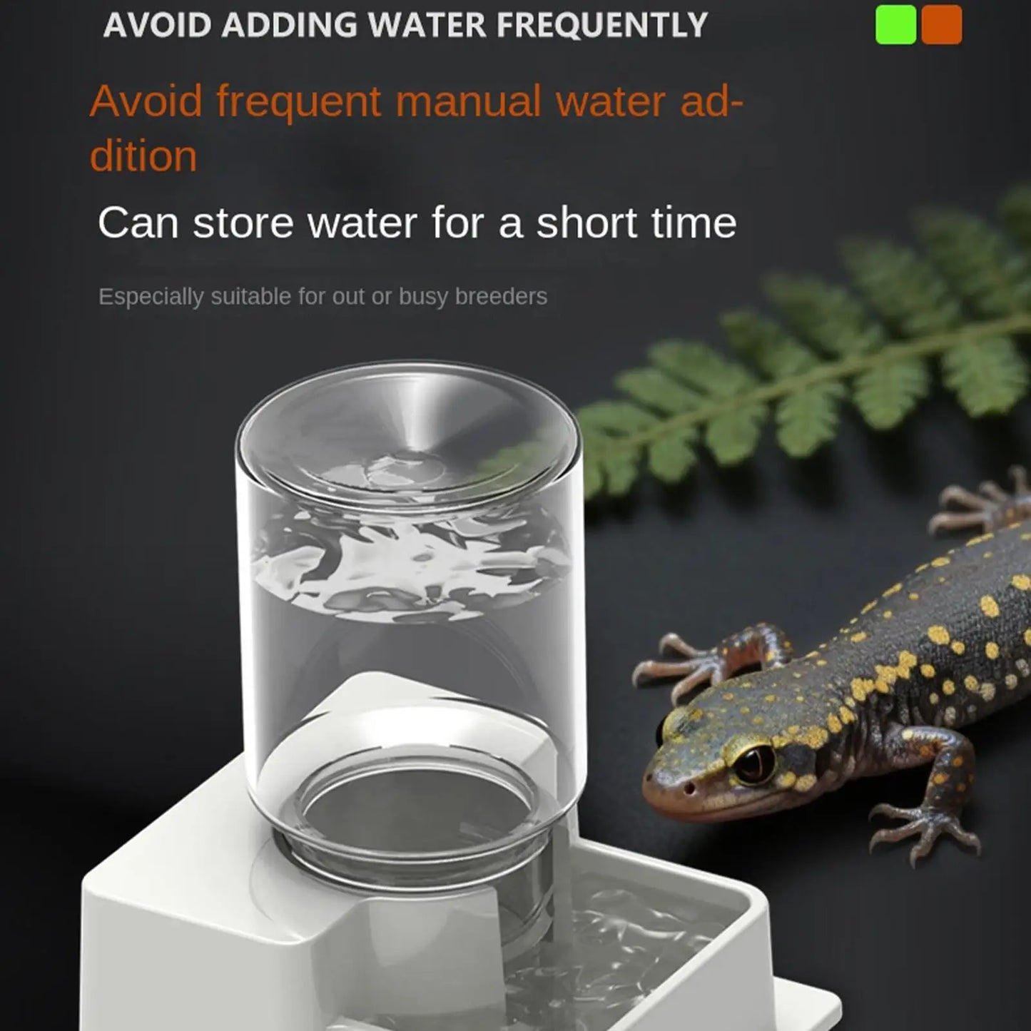 Automatic Reptile Water Dispenser & Feeder Bowl | Terrarium