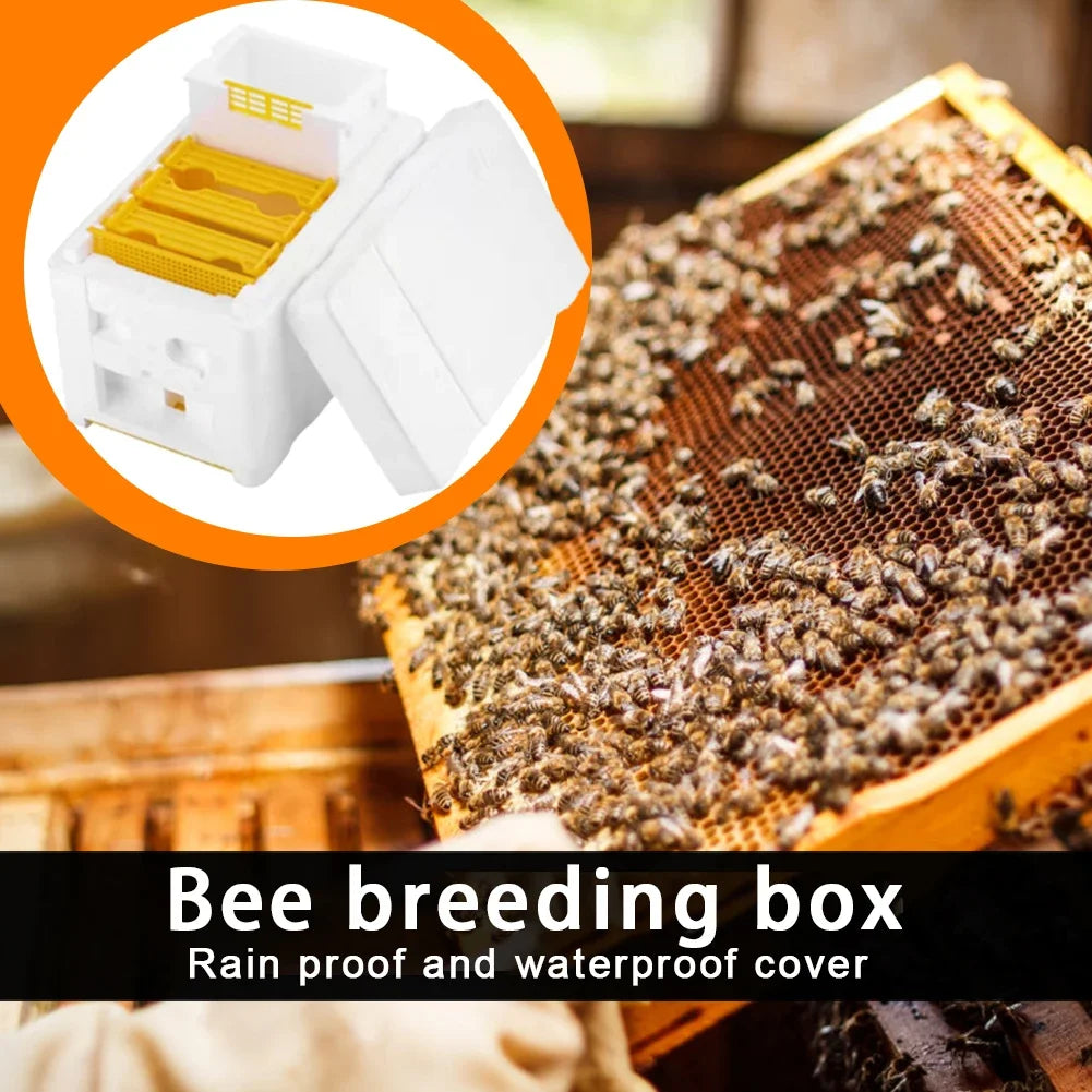 King Beehive Garden Beekeeping Kit – Foam Hive Box & Frame Holder Peaceful Pleasures Health and Wellness