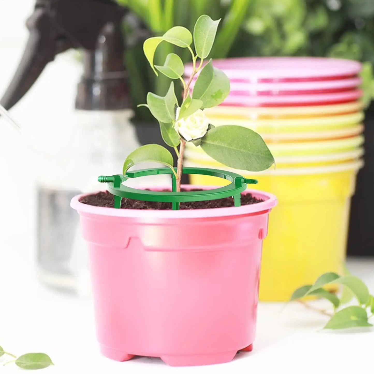 Hydro Halo Drip Irrigation Ring – Plant Watering Kit