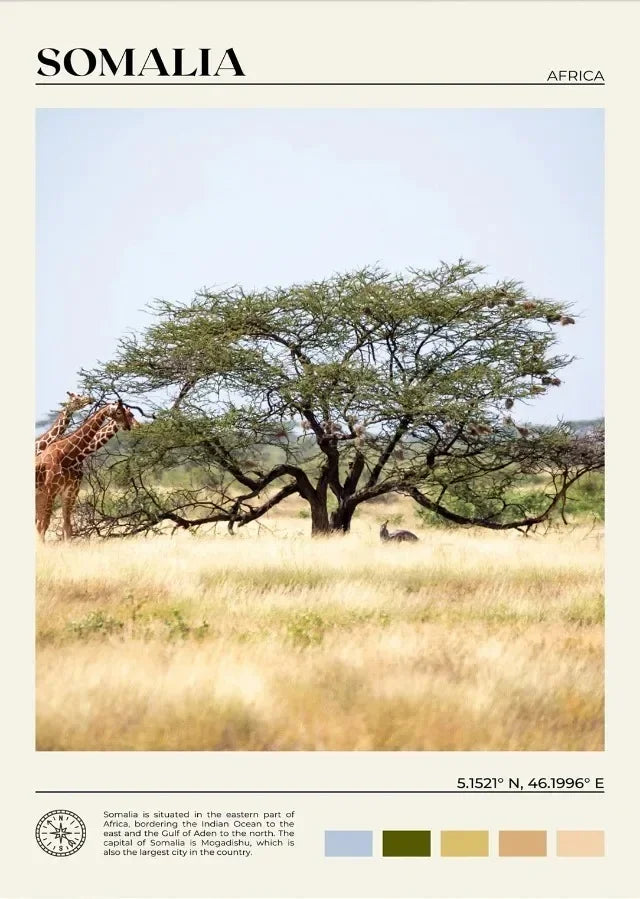 Canvas Painting Wall Art Picture Zimbabwe Somalia Morocco Ethiopia Cape Town Africa Travel Study Poster for Room Office Decor Peaceful Pleasures Health and Wellness 14 20x30cm Unframed