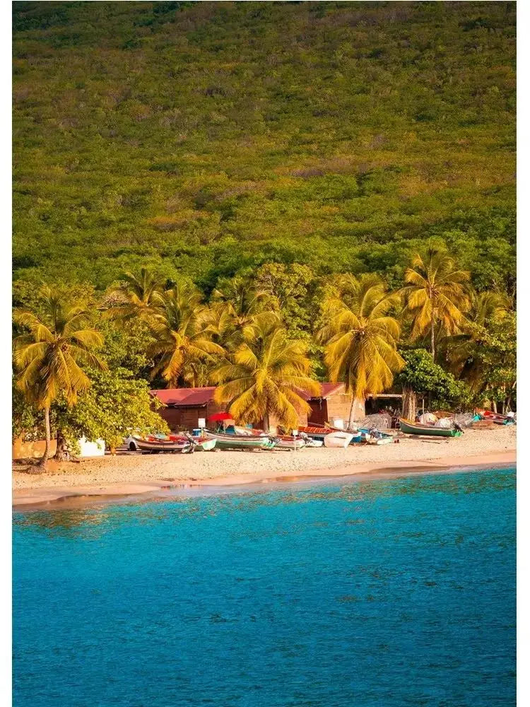 Martinique Beach Ocean Vintage Canvas Wall Art | Unframed Print