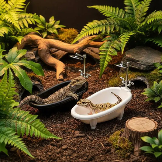 Mini Reptile Bathtub with Faucet | Gecko & Bearded Dragon Bowl Reptile Soaking Bowl Oasis Select
