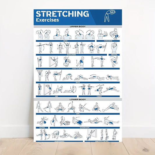 Full-Body Stretches Gym Canvas Wall Art Print | Fitness Poster Fitness Canvas Print Peaceful Pleasures Health and Wellness G4654 40x50cm Metal Framed