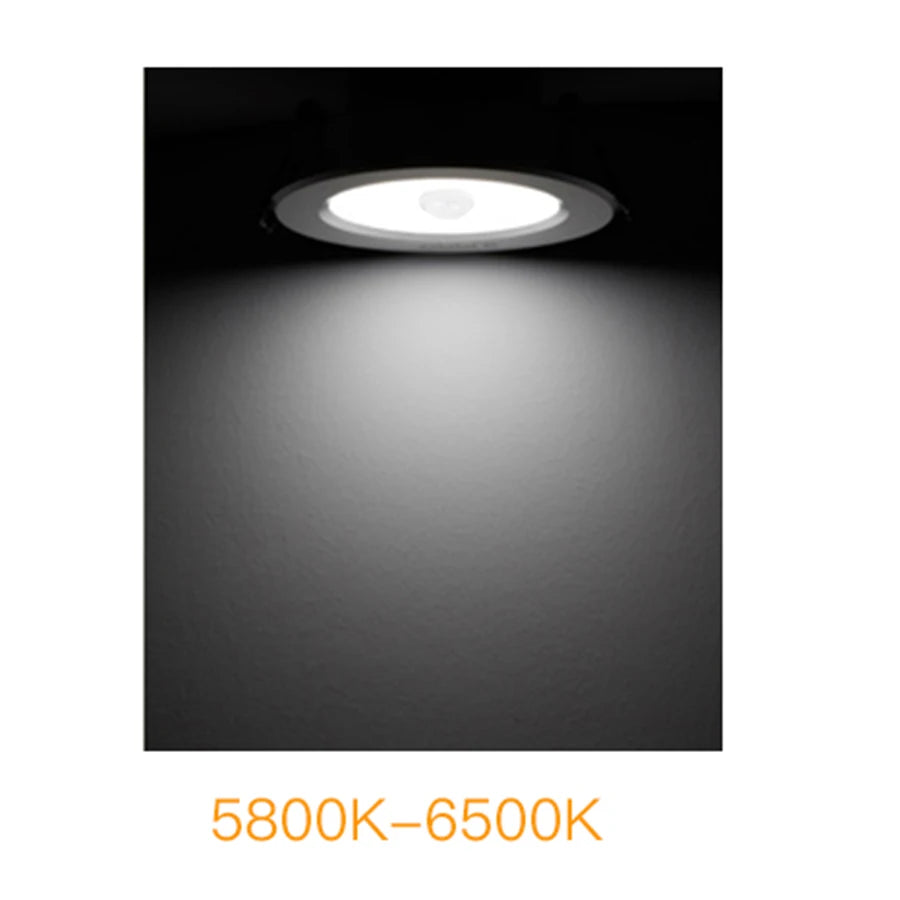 5W 10W 15W 20W PIR Motion Sensor Downlight 85-265V Human Infrared Induction LED Spotlight for Entrance Corridor Hallway Stairs Peaceful Pleasures Health and Wellness cold white 15w