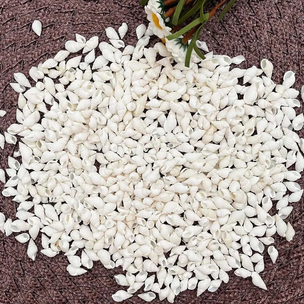 100pcs Natural White Spiral Seashell Beads for DIY Crafts & Decor