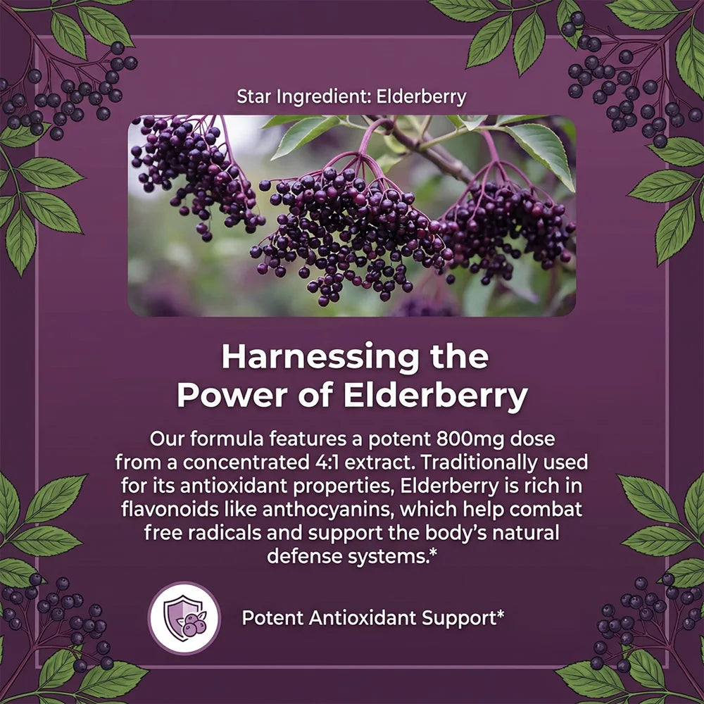 Elderberry 800mg Capsules – Immune Support with Vitamin C, D & Zinc