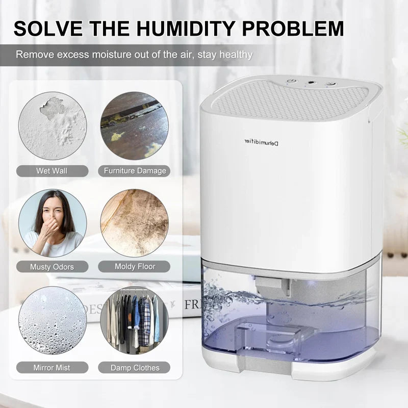BALASHOV Portable Quiet Dehumidifier | 36W Home Air Dryer