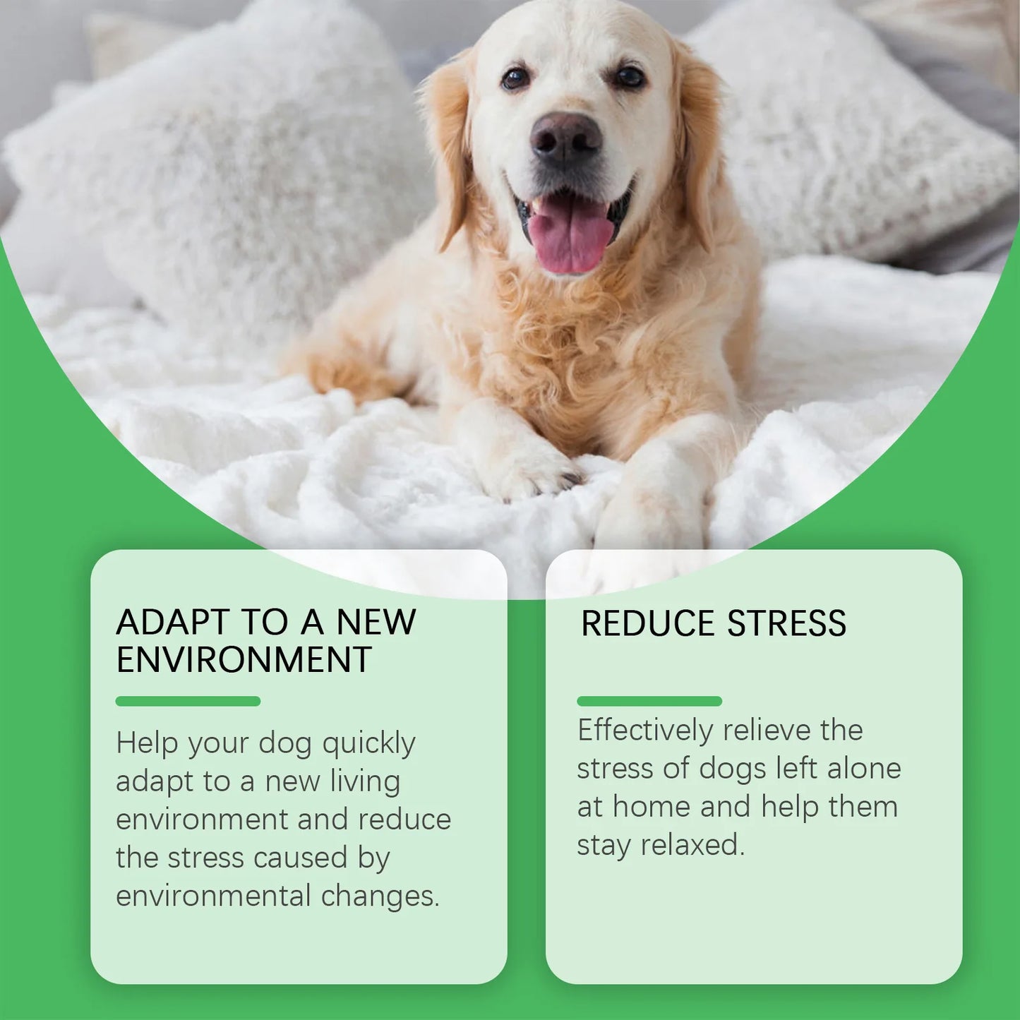 Pet Pheromone Calming Diffuser & Spray for Cats & Dogs