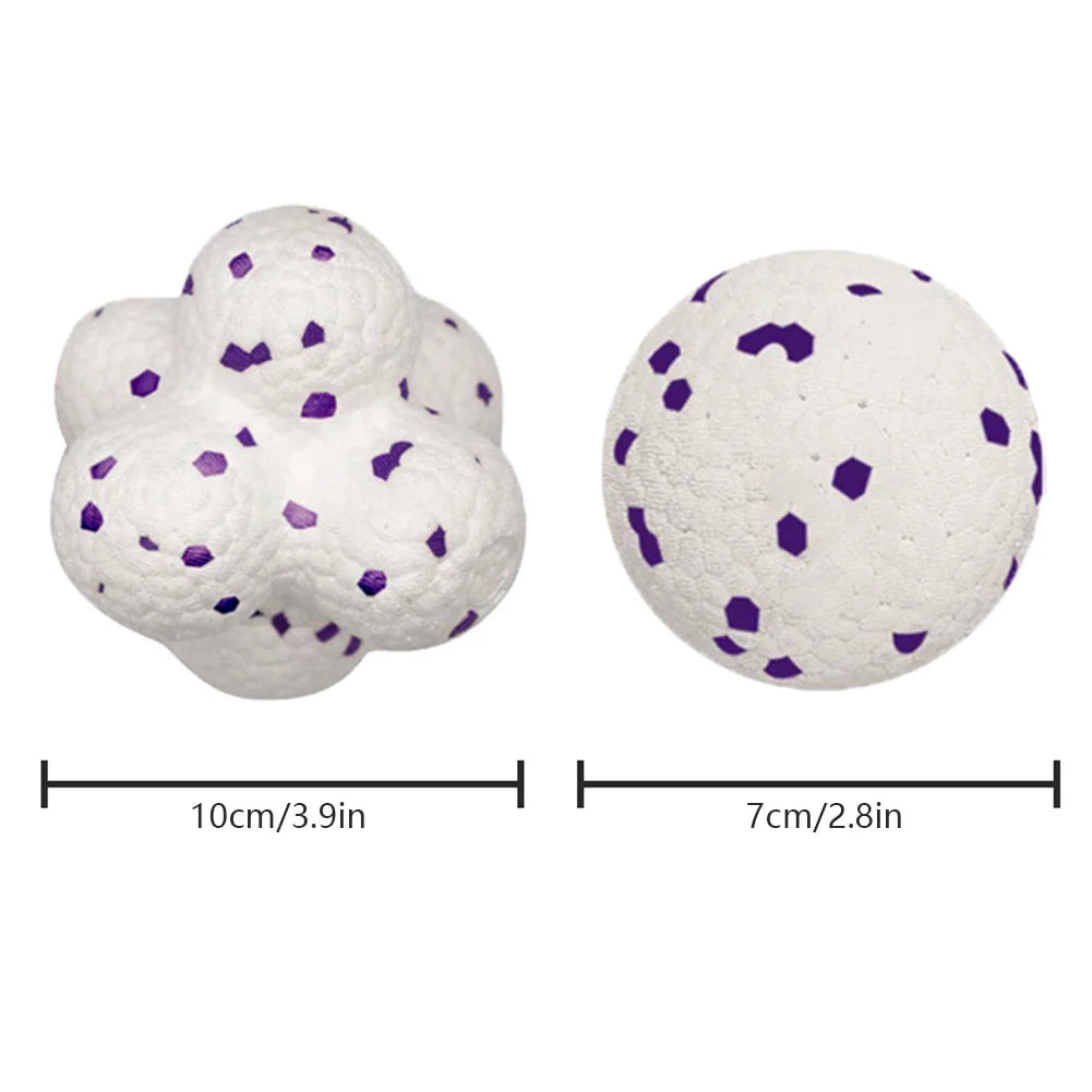 HOBBAGGO Squeaky Dog Ball – Interactive Chew & Teeth Clean Toy