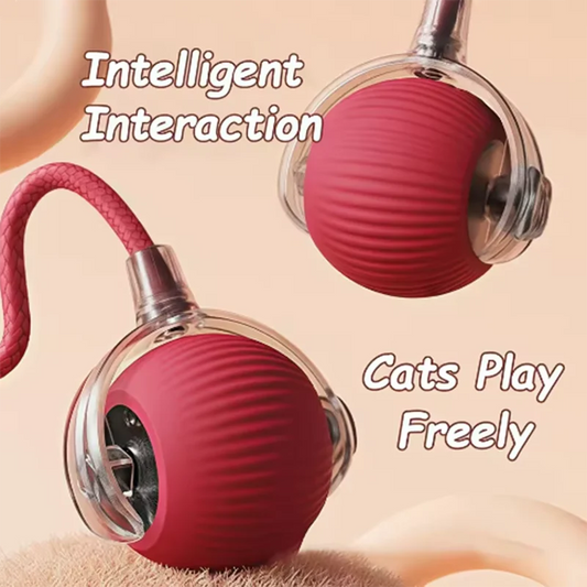 Interactive Pet Ball Toy – Auto Obstacle Avoidance Cat & Dog Interactive Pet Toy Peaceful Pleasures Health and Wellness