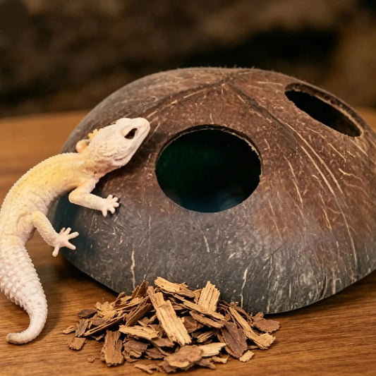 Natural Coconut Shell Reptile Hiding Cave | Terrarium Decor Reptile Hiding Cave Oasis Select