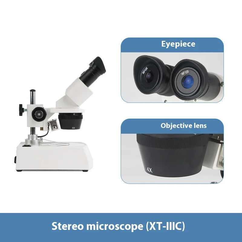 Stereoscopic Microscope with Two Levels of Magnifying Glass and Variable Magnification 20X40X Peaceful Pleasures Health and Wellness