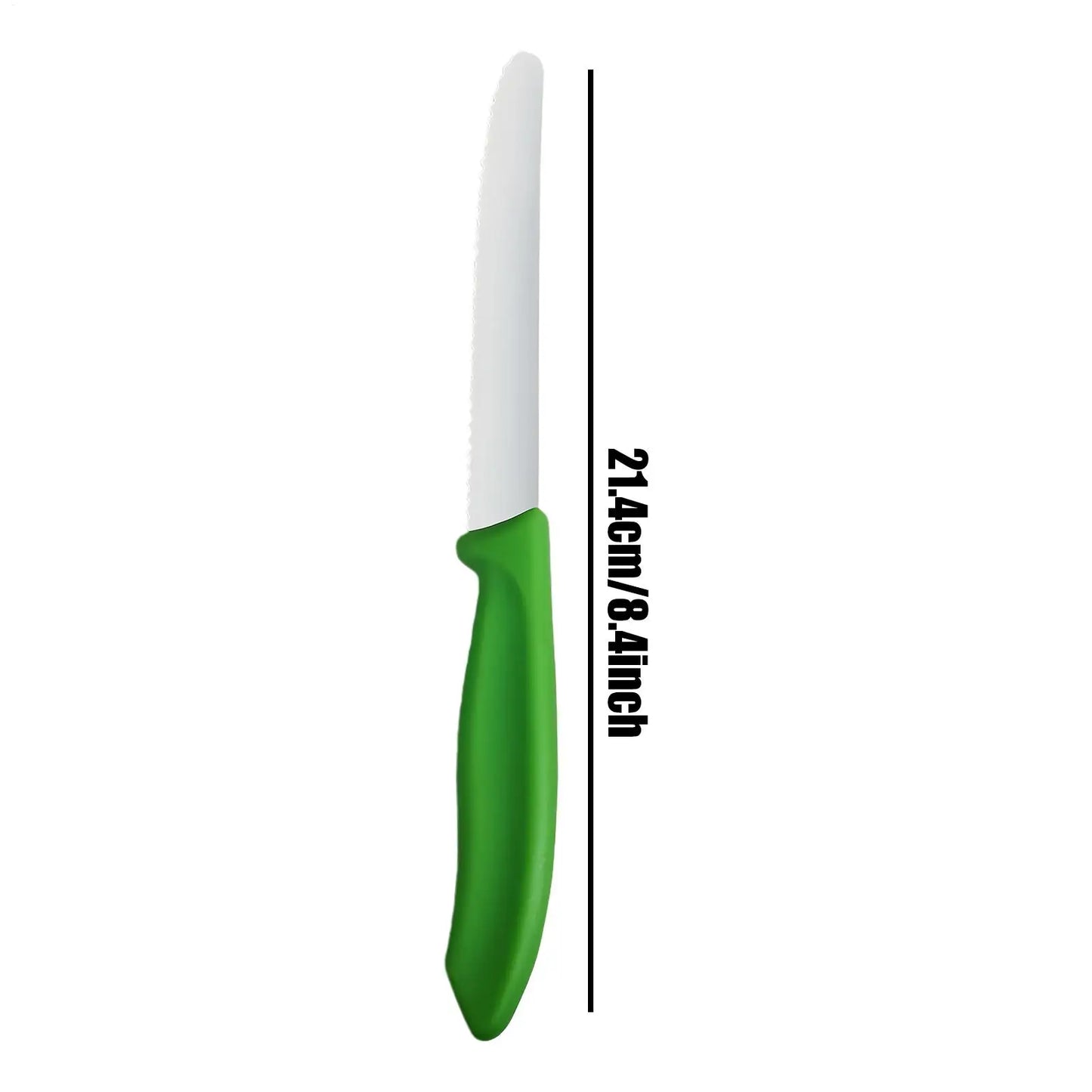 5-Piece Serrated Stainless Steel Steak Knife Set | BBQ & Dining