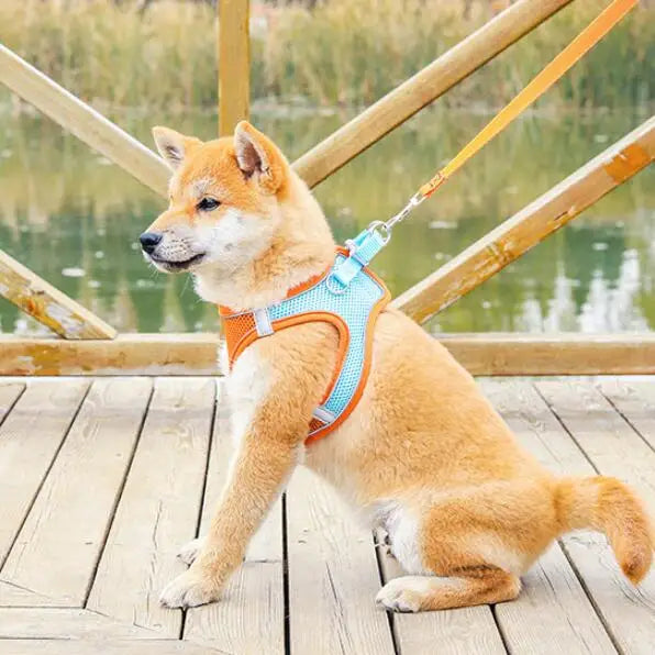 Reflective Dog Harness Vest with Leash | XXXS–L, Adjustable Dog Harness Vest Peaceful Pleasures Health and Wellness