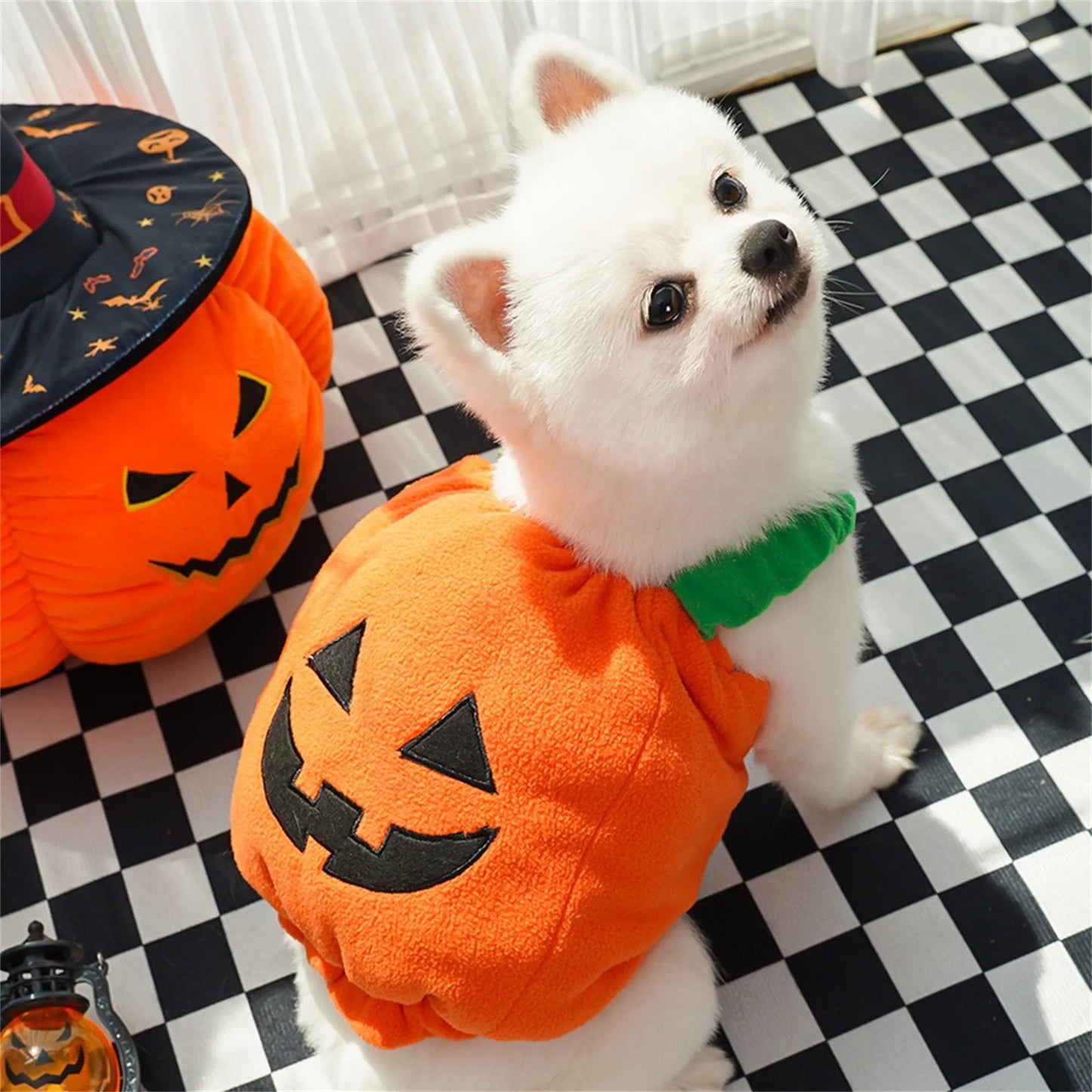 Halloween Pumpkin Costume for Cats & Small Dogs – Funny Pet Outfit