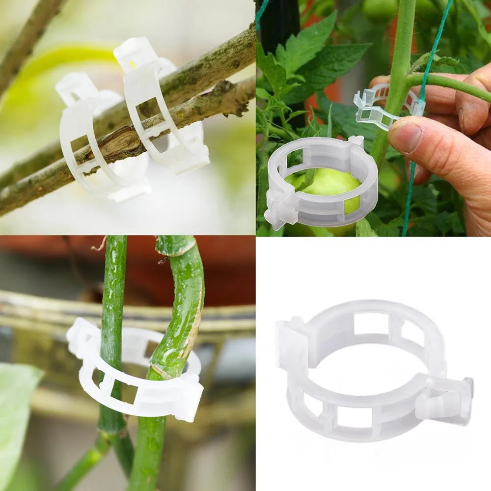 Plant Clips Supports Reusable Plastic Connects Fixing Vine Tomato Stem Grafting Vegetable Plants Orchard and Garden Tools 100PCS Peaceful Pleasures Health and Wellness