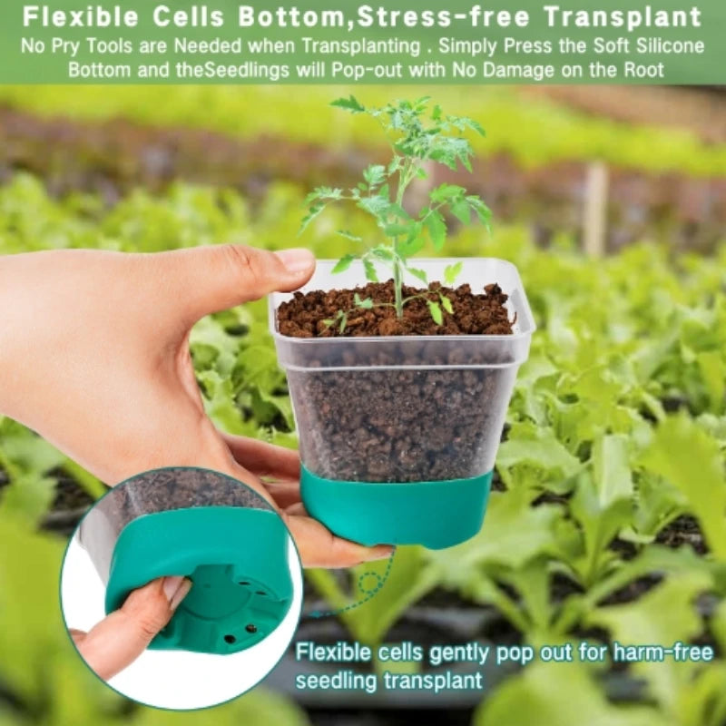 6 plastic square flower pots, transparent planting and seedling pots, reusable, breathable with silicone bottom and label Peaceful Pleasures Health and Wellness