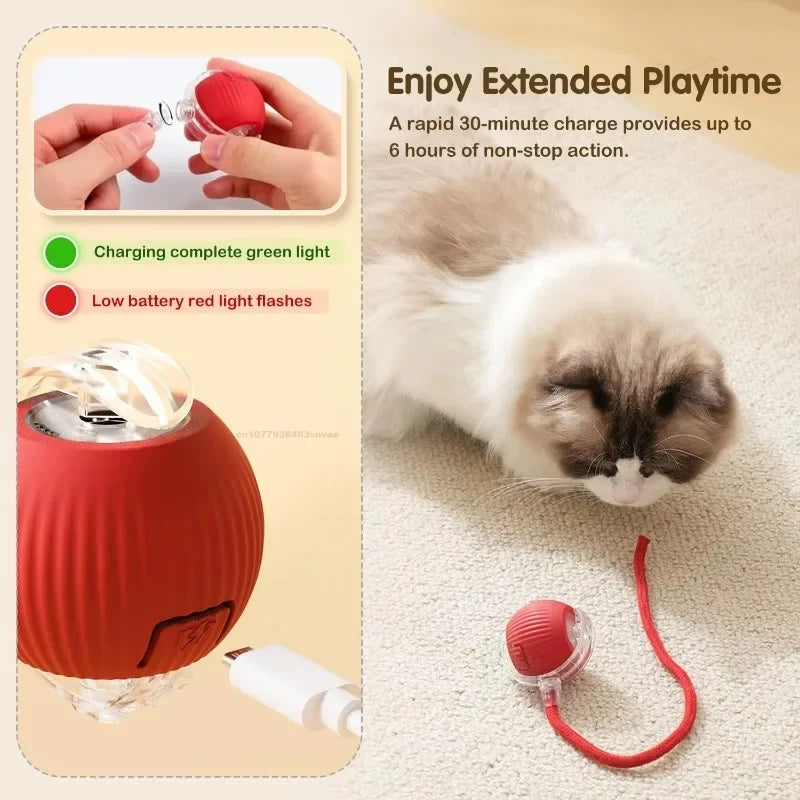 Interactive Auto Rolling Ball Toy for Cats – USB Rechargeable