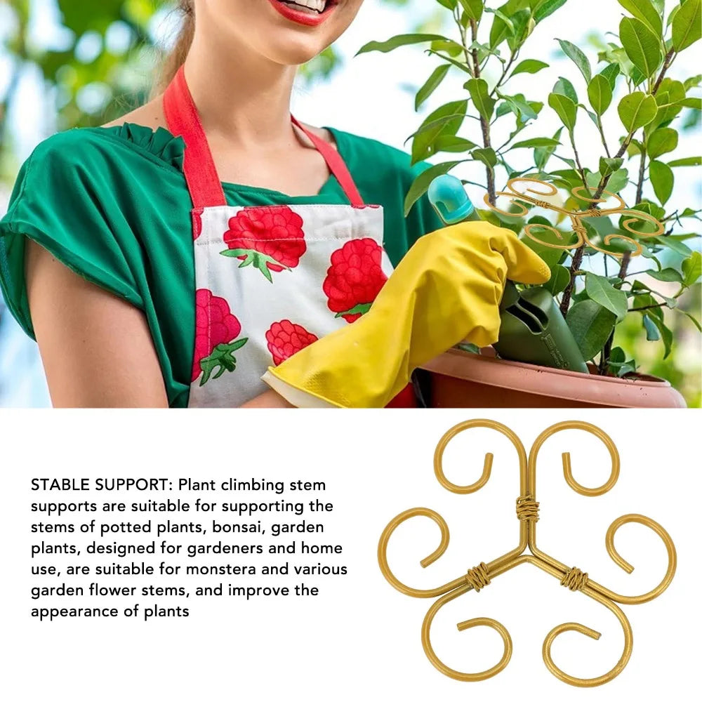 5-Pack Gold Iron Monstera Plant Stem Support Rings | Reusable