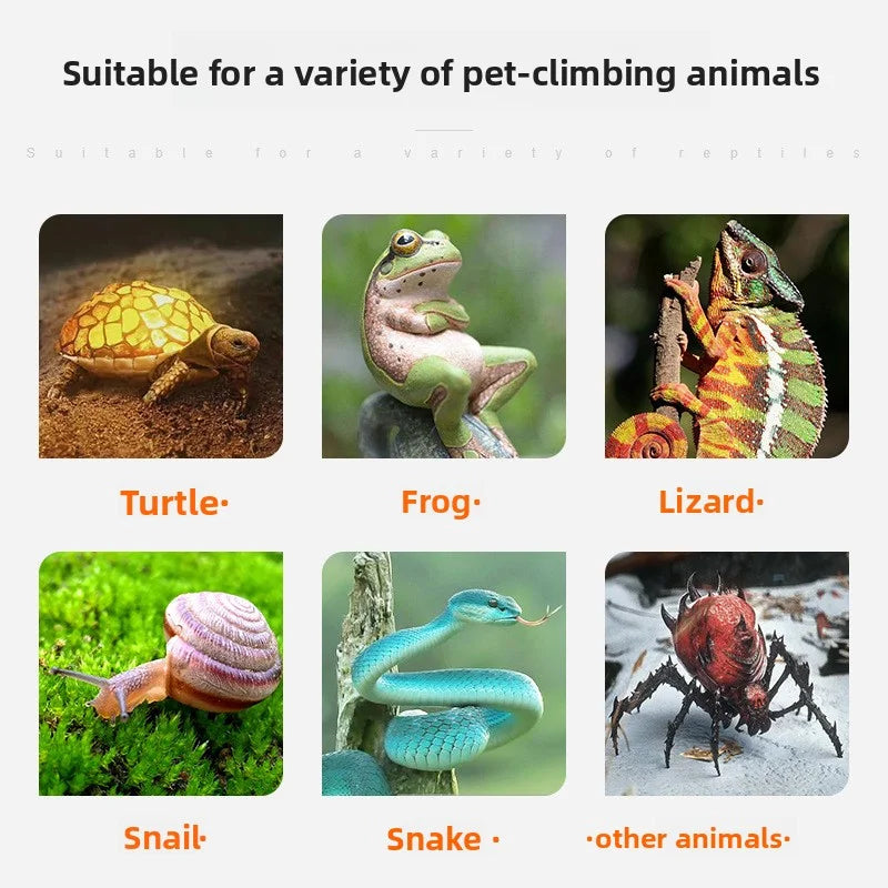 UVB UVA LED Reptile Basking Lamp for Turtles & Lizards | 3W