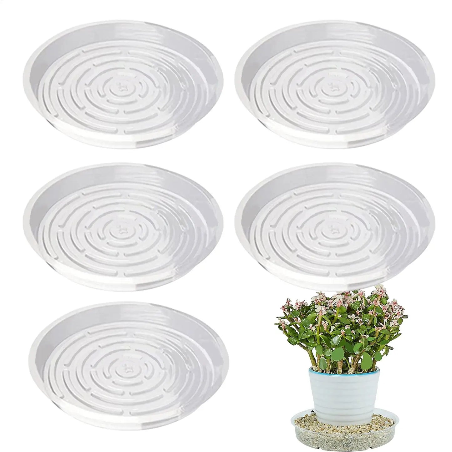 5-Pack Clear Round Plant Saucers | Plastic Pot Trays 6" 8" 10"