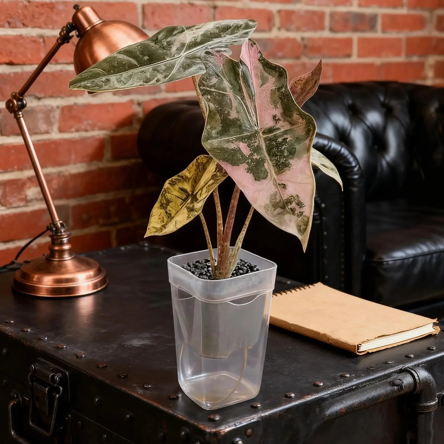 Self Watering Pots for Indoor Plants – Clear Plastic Planters