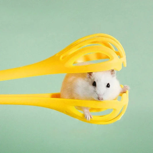 Hamster Clamp Hamster Trap Golden Bear Interactive Toy for Daily Life Landscaping Supplies No Harm To Pets Mouse Trap Practical Peaceful Pleasures Health and Wellness
