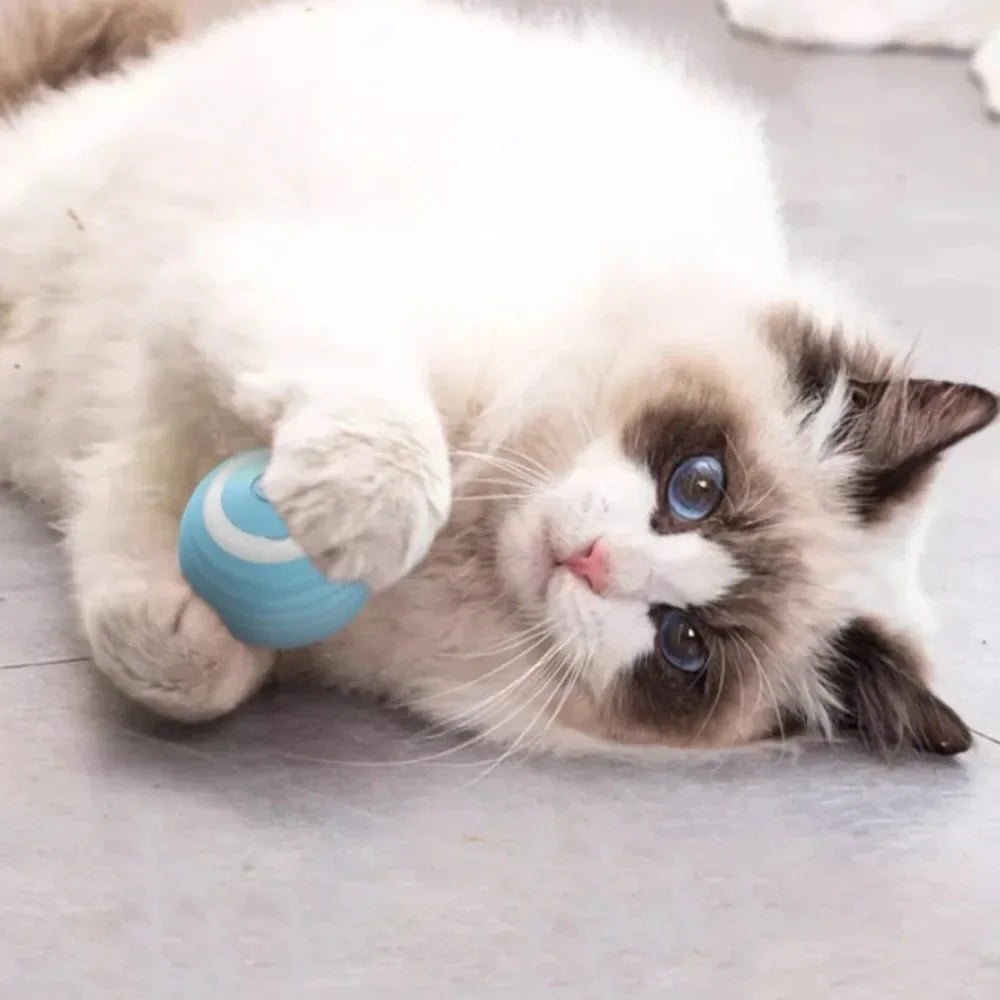 Electric Auto-Rolling Interactive Cat Toy Ball | USB-C