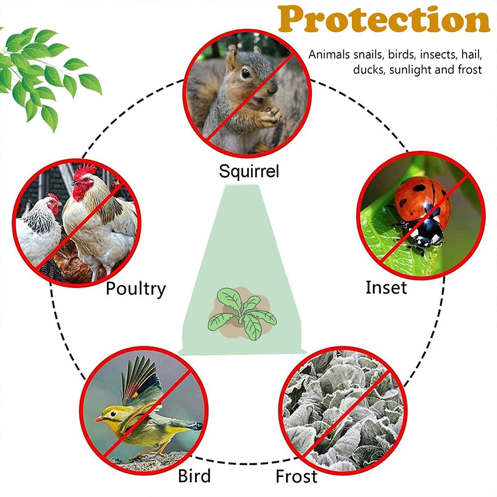 5Pcs Growth Box Planting Tent Reusable Square Use Plant Clock Cover To Protect Plants From Bird Frost and Snail Damage Green Peaceful Pleasures Health and Wellness