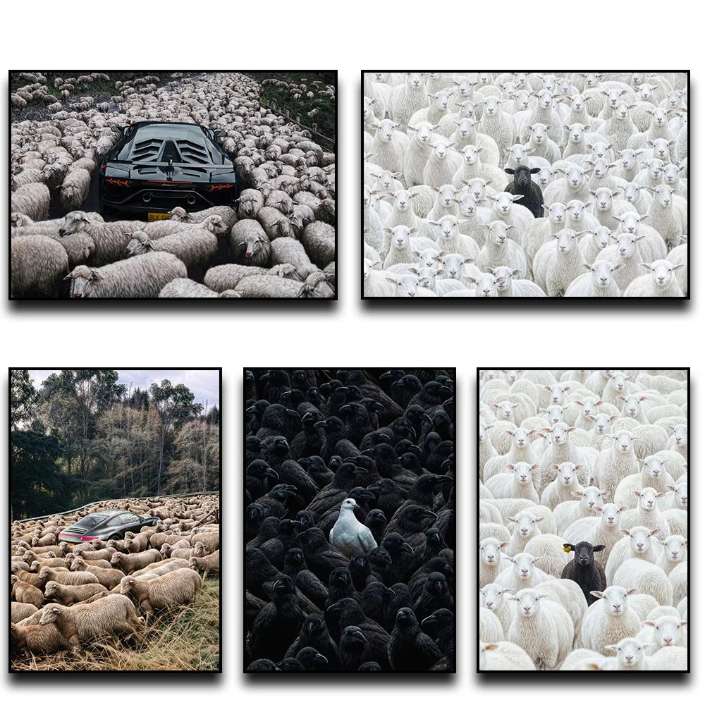 Black Sheep in Flock Wall Art Poster Black Pigeon in Pigeon Flock Canvas Art Prints Car in Flock Decor Picture Canvas Paintin Peaceful Pleasures Health and Wellness