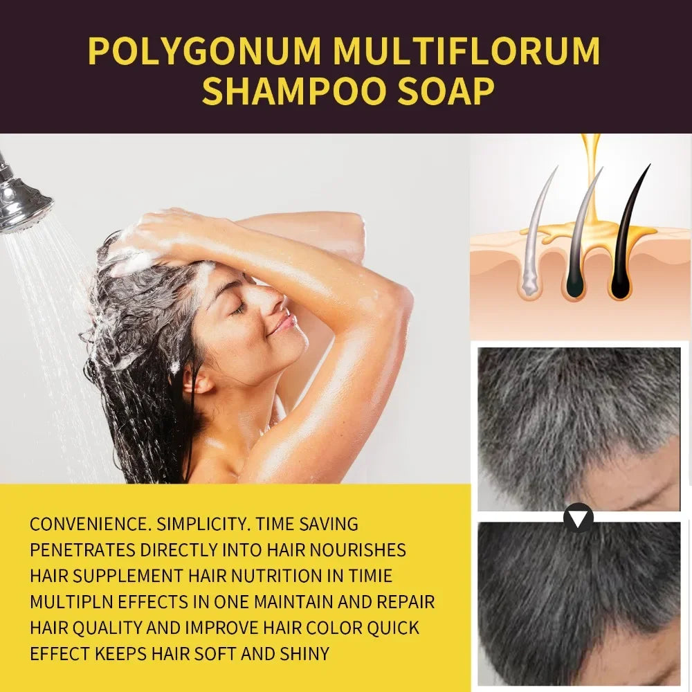 100ml Natural Herbal Hair Dye Shampoo 3 in 1 Hair Color Shampoo for Gary Hair Dark Brown Black for Women & Men Grey Coverage Peaceful Pleasures Health and Wellness