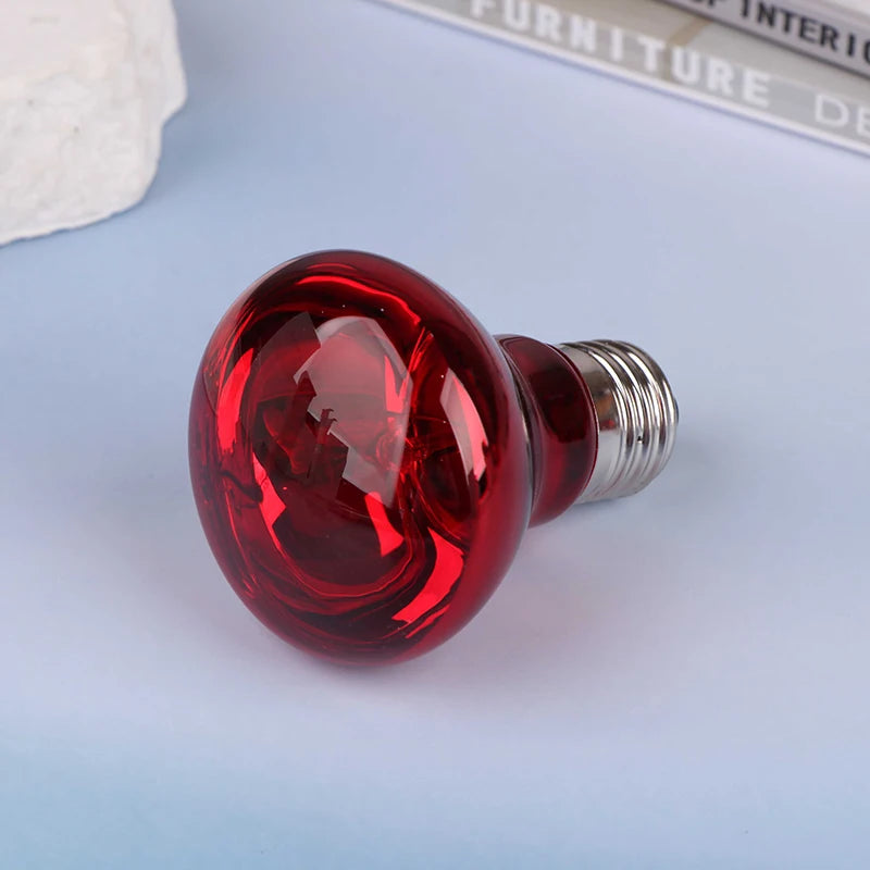 Reptile UVA Heating Bulb E27 | 25W–100W Basking & Night Heat