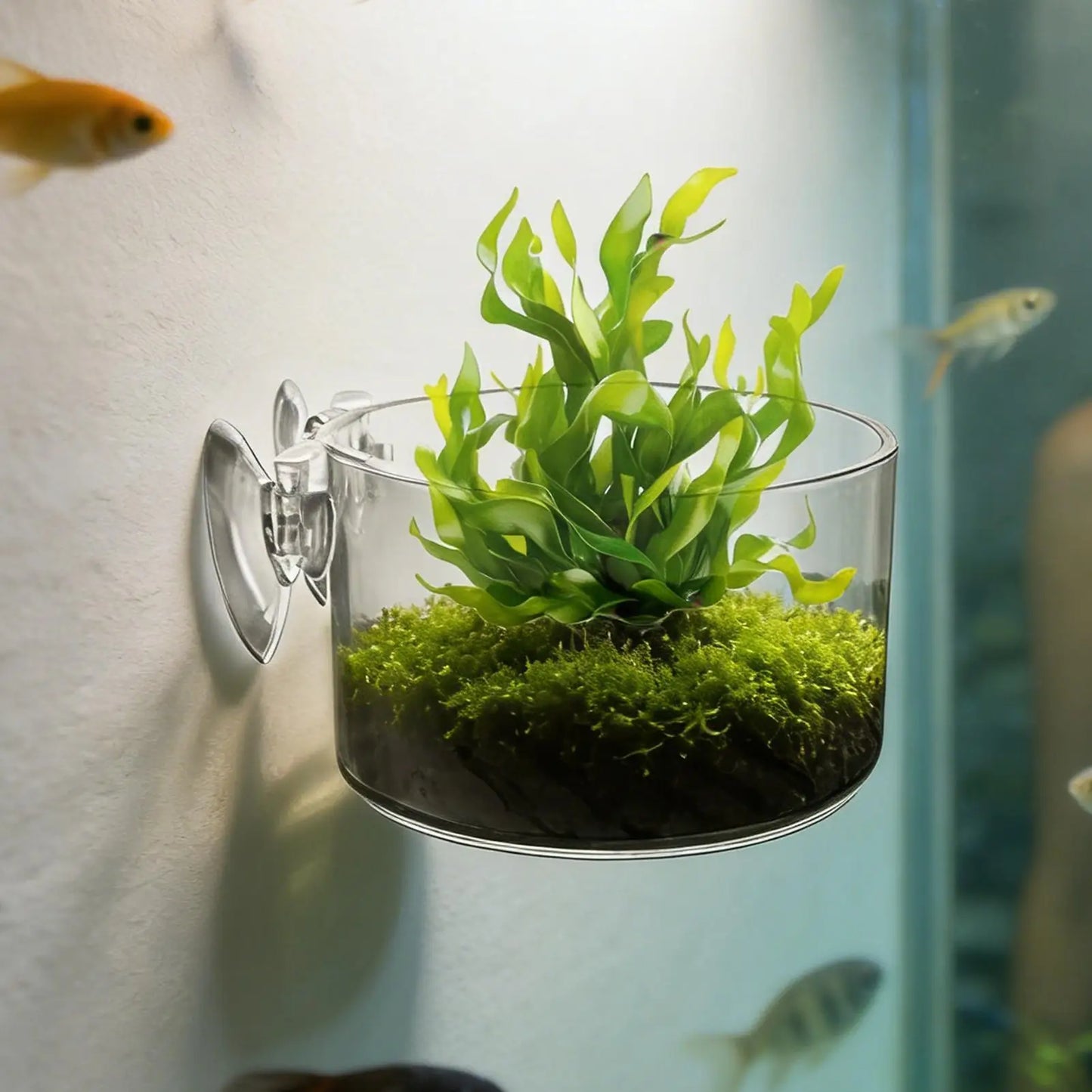 Aquarium Plant Cup Holder – Hanging Fish Tank Planting Cylinder