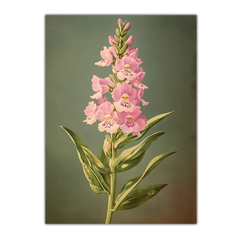 Vintage Botanical Floral Canvas Wall Art | Flower Poster Print Floral Canvas Wall Art Peaceful Pleasures Health and Wellness 04 30x40cm No Frame China Mainland