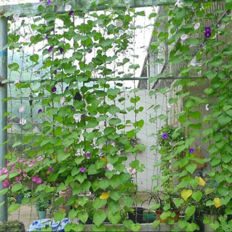 Heavy Duty Trellis Netting for Climbing Plants & Vegetables