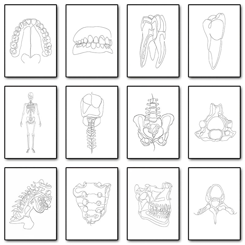 Human Anatomy Skeleton Canvas Wall Art | Medical Line Art Poster