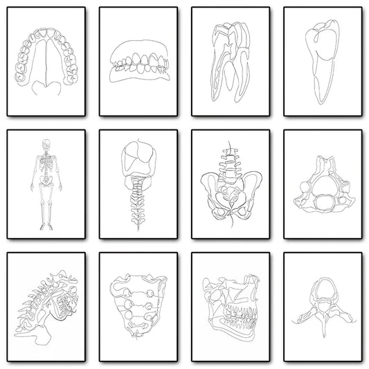 Human Anatomy Skeleton Canvas Wall Art | Medical Line Art Poster Canvas Wall Art Print Peaceful Pleasures Health and Wellness