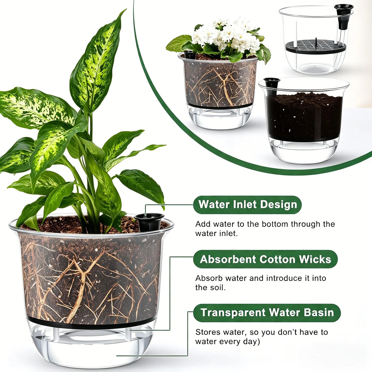 2-Pack Clear Self-Watering Pots with Deep Reservoir | Indoor Plants