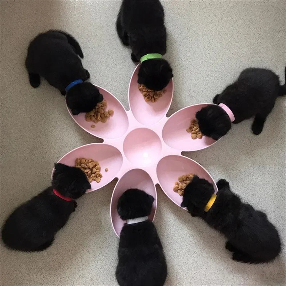 Petal Multi-Cell Cat & Dog Food Bowl | Non-Toxic PP