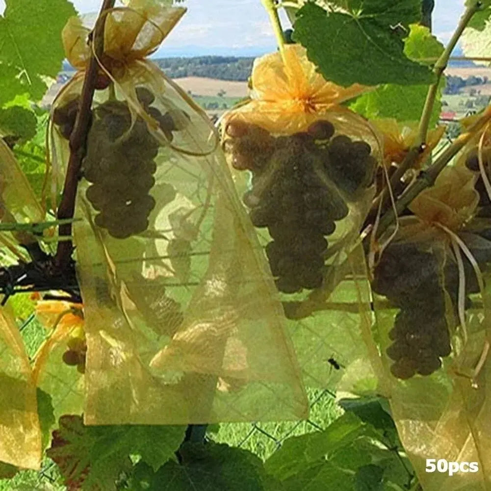 50pcs Fruit Netting Bags – Anti-Bird Mesh Garden Covers