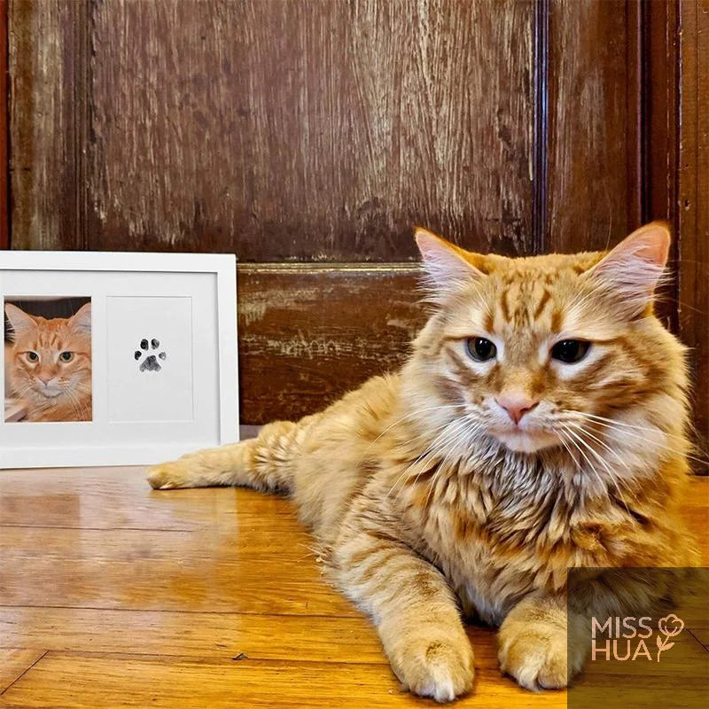 Pet Paw Print Ink Kit – Non-Toxic Inkless Stamp Pad for Cats & Dogs